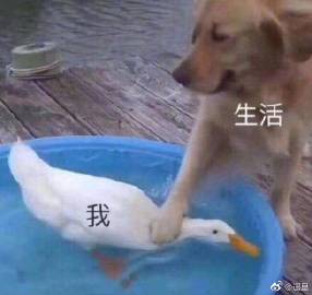 遥皇的微博微博