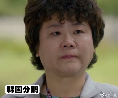 组图过于好笑岳云鹏晒全球分鹏力邀其与孙越说群口