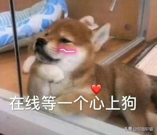 搞笑段子不行了,第一张图就给我笑岔气了,哈哈哈哈哈