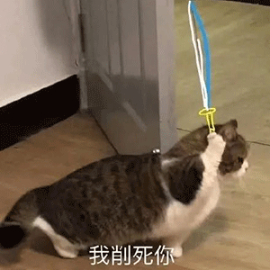 今日份沙雕表情包多喝热水少发骚