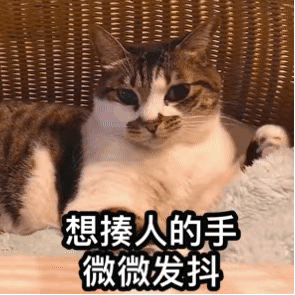 喜羊羊表情包