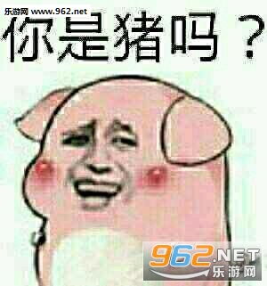 搞笑表情包下载软件猪猪