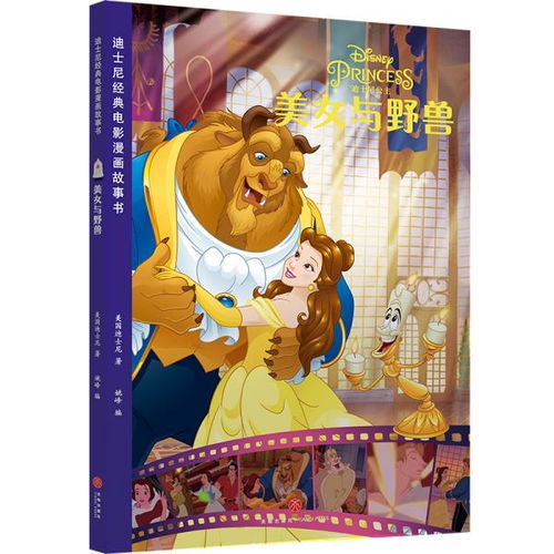 孔网分类