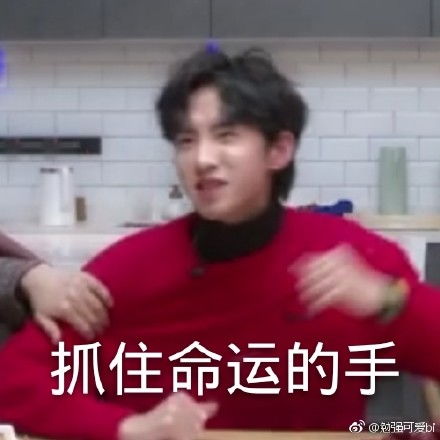 大厂男孩表情包九