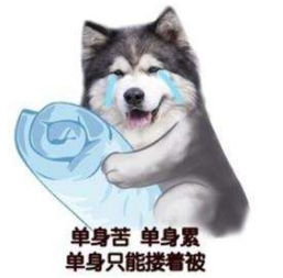 约吗ai红娘驾到,脱单不是梦