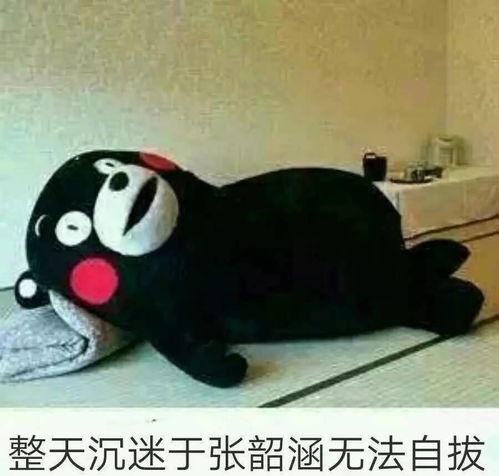 高能预警张韶涵2017纯粹remix巡演首站开票倒计时2小时,你准备好了吗