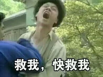 什么样的女生会喜欢年下小奶狗小狼狗
