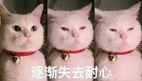 如何美白这些精华液可以温和补水美白让你的皮肤看起来更亮白