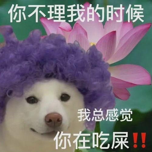 e句话看天下丨刘丹说,演得最爽的是杀李诗情的戏