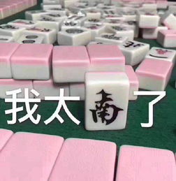 搓麻少女的表情包合集我太南了