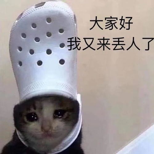 搞笑沙雕表情包大家好,我又来丢人了