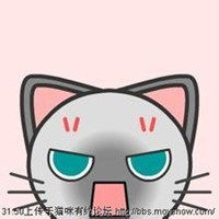 猫趴在人脸上卡通头像微信头像图片大全