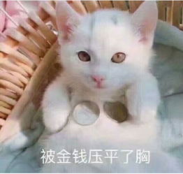 gmat仅600,非洲捞金3年,我拿下法国top4高商ge项目offer