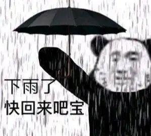 10年以来最强龙舟水下雨天与拖鞋更配小心藓缠上你