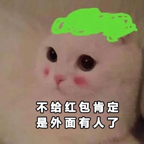 快保存最适合过年搞钱的99个猫表情包