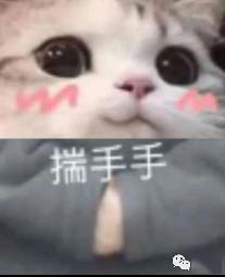 奚梦瑶动了这里之后,美貌一下提高两个档次
