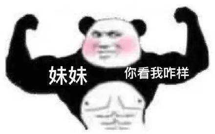 搞怪熊猫头表情包