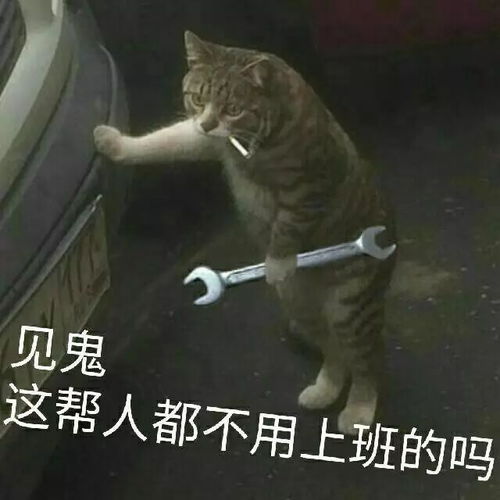 厉害了济南地铁3号线今年国庆就通车,看看路过你家门口吗