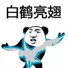 斗图搞笑表情包男朋友