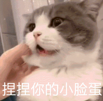萌趣猫咪表情包gif斗图大放送,眼神体会猫和生无可恋猫搞笑表情包出处