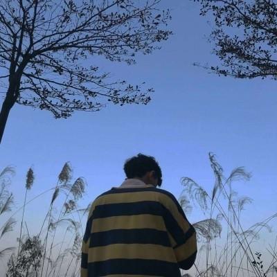 热忱自由的直播间名字大全网络是向往的状态