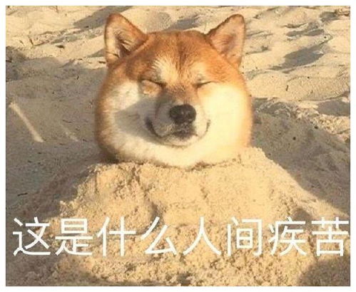 沙雕表情包搞笑gifgif