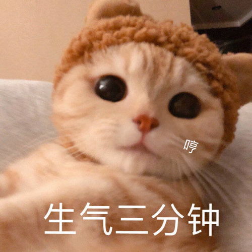 可爱又沙雕的表情包