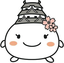 海南日报数字报