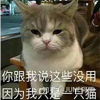 教你如何画眼线大眼迷人,小眼勾魂,谁画谁好看
