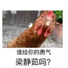 鸡年斗图必备不用这些表情包怎么好意思跟别人聊天逗乐
