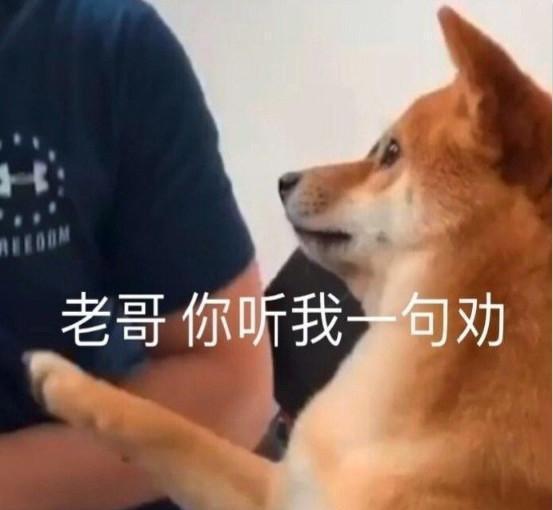 丑化赵丽颖引战吴亦凡,这次又激怒王一博,剪辑师请停下你的手