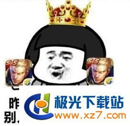 蘑菇头玩王者荣耀表情包下载蘑菇头玩王者荣耀表情包高清无水印极光下载站