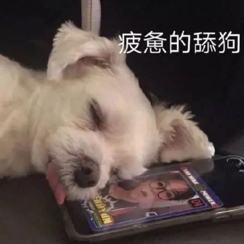 难看,但特甜腾讯新闻