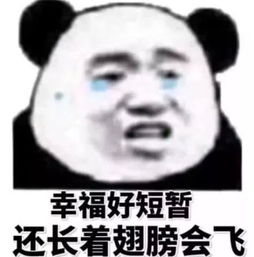 超级调皮表情包了解一下大家好我是鳌拜的弟弟熬夜
