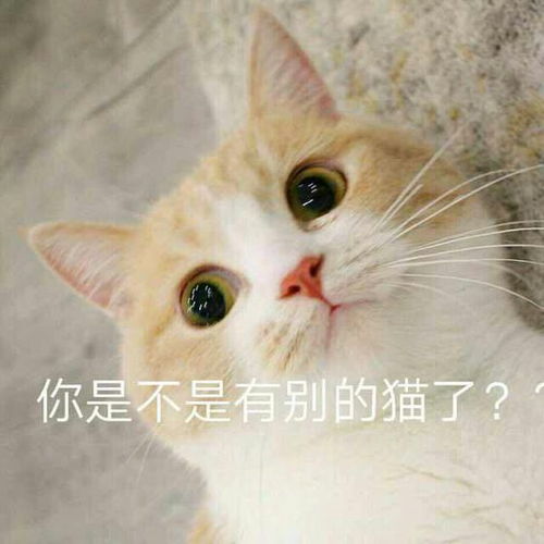 可爱搞笑又沙雕的表情包大全