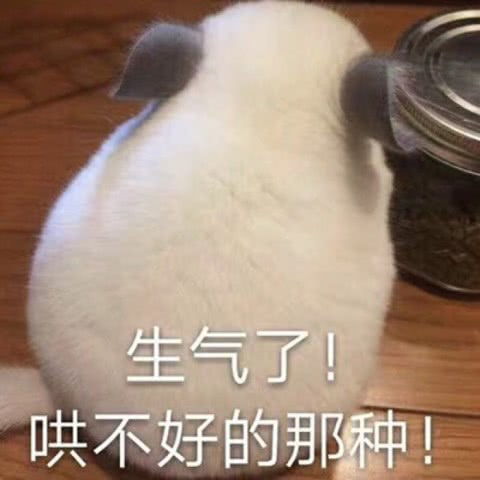 表情表情包给你们,图1送给小仙女们,真的只有小仙女可以用表情