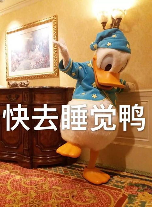 每天都要开心鸭好多鸭鸭表情包