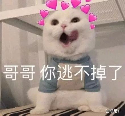 有哪些可以哄男朋友开心的表情包