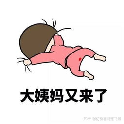 女士内衣内裤清洗液有什么推荐的