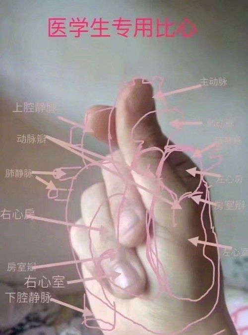 同学,医学生专用表情包了解一下