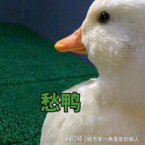 健康管理压力过载健康减压师如何解决亚健康状态减压指南