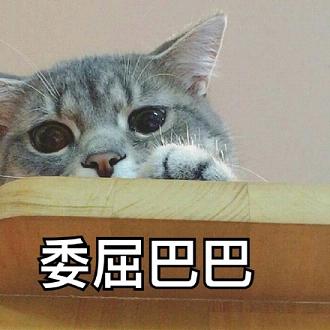 猫咪搞笑表情包委屈