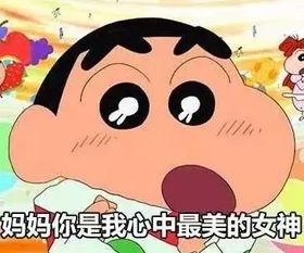 我的妈妈是全世界做饭最好吃,长得最好看的妈妈