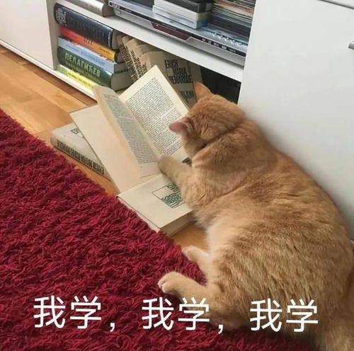 快来收藏好玩的表情包10.11