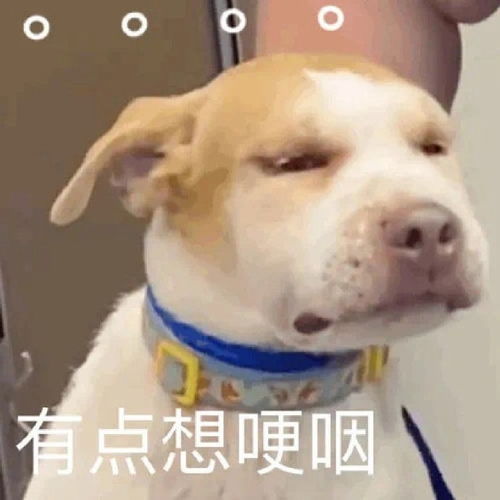 搞笑gif这步子还能迈的再小一点吗