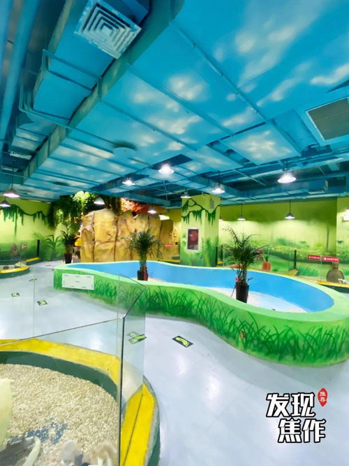 六一特惠6.1带娃来大型室内萌宠乐园,10元钱和萌宠亲密接触太有趣了