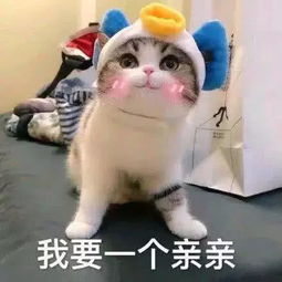 有的女孩表面上甜甜的,其实背地里表情包也是甜甜的撩汉满分