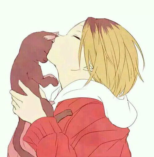 少女与猫