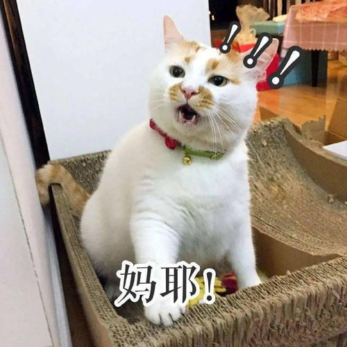 科技热点搞科研太难了农科院博士有毒科研材料被村民拿走,还差点被食用...