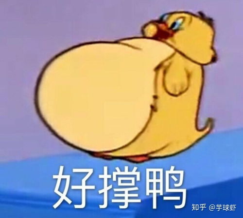 朋友圈最可爱有趣的文案句子都在这了
